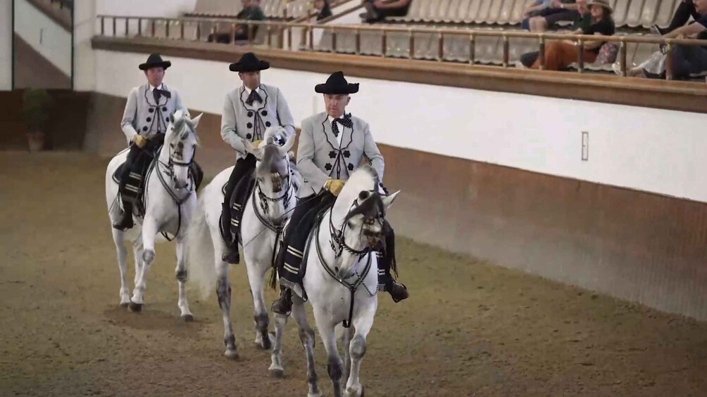 Picture 14 for Activity From Seville: Jerez, Cádiz and Andalusian Horses