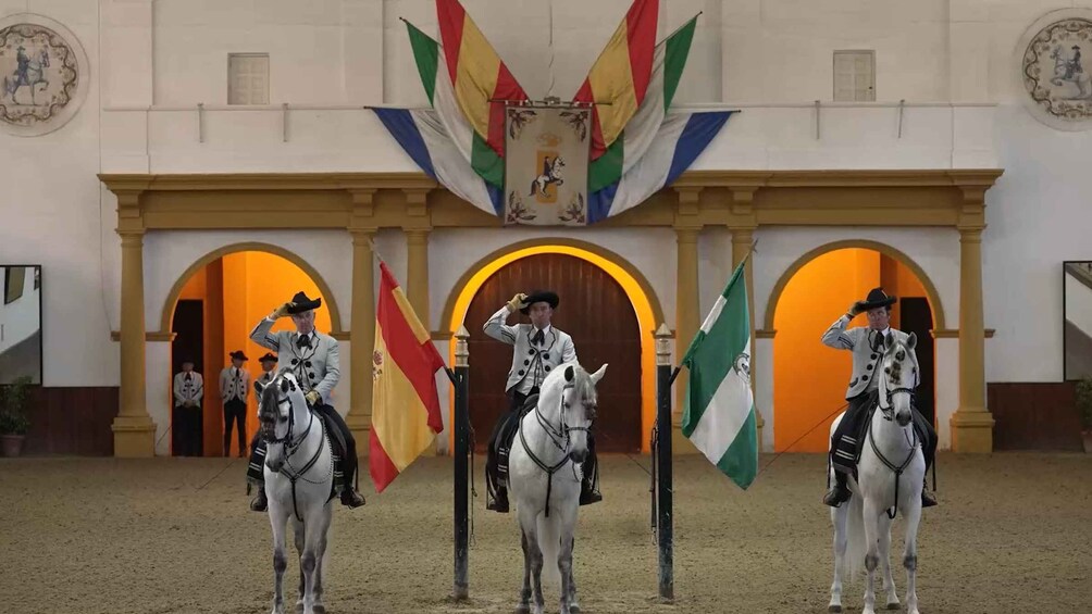 Picture 9 for Activity From Seville: Jerez, Cádiz and Andalusian Horses