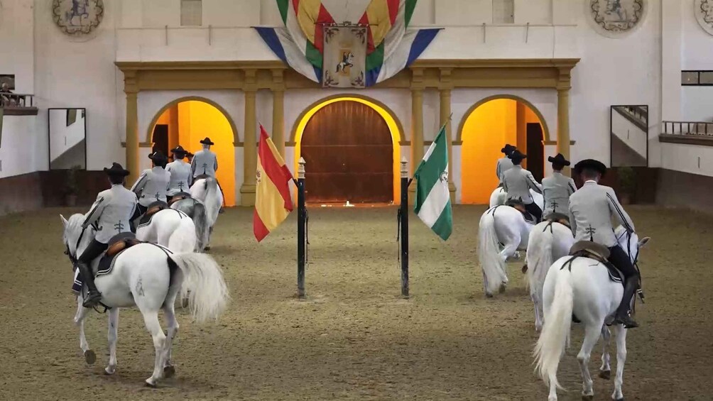 Picture 6 for Activity From Seville: Jerez, Cádiz and Andalusian Horses