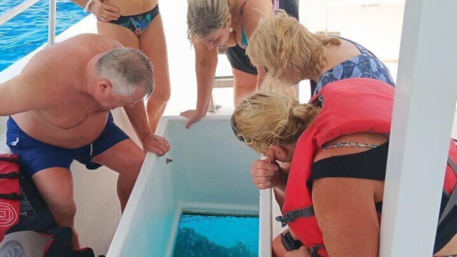 Viewing the shipwreck through the glass -Totally AMAZING