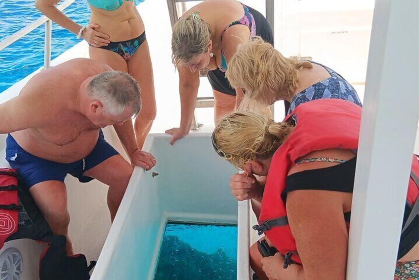 Viewing the shipwreck through the glass -Totally AMAZING 