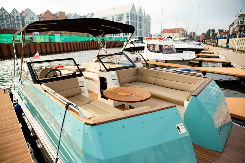 Picture 1 for Activity Gdańsk : Catamaran River Cruise
