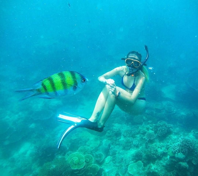 Picture 15 for Activity Phi Phi: Half Day Speedboat Tour to Maya Bay with Snorkel
