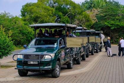 St Lucia: iSimangaliso Wetland Park: Full-Day/Half-Day Tour