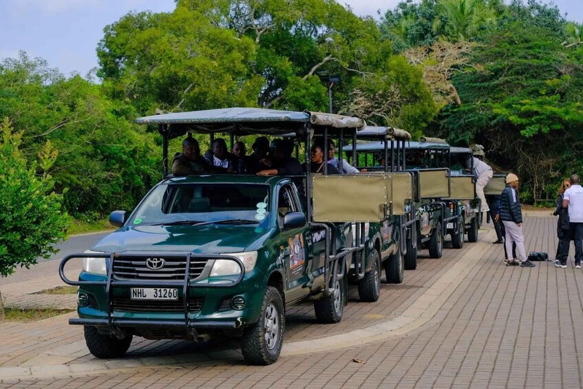 Picture 1 for Activity St Lucia: iSimangaliso Wetland Park: Full-Day/Half-Day Tour