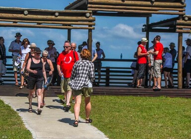 St Lucia: iSimangaliso Wetland Park: Full-Day/Half-Day Tour