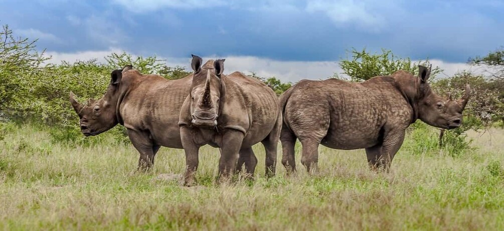 Picture 3 for Activity St Lucia: iSimangaliso Wetland Park: Full-Day/Half-Day Tour