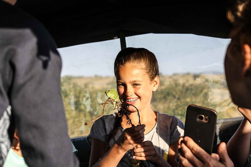 Picture 2 for Activity St Lucia: iSimangaliso Wetland Park: Full-Day/Half-Day Tour