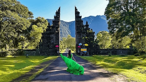 North Bali: Full-day Highlights Instagram Tour