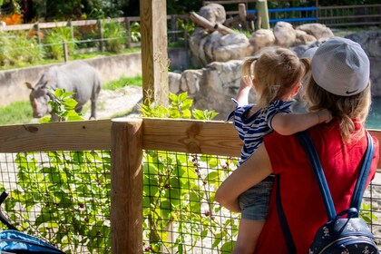 Orlando: Central Florida Zoo Skip-the-Line-billett