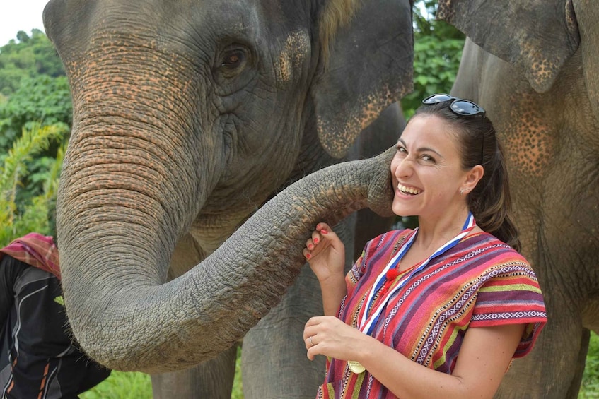 Picture 7 for Activity Phuket: Half Day or 2-Hour Ethical Elephant Care Sanctuary