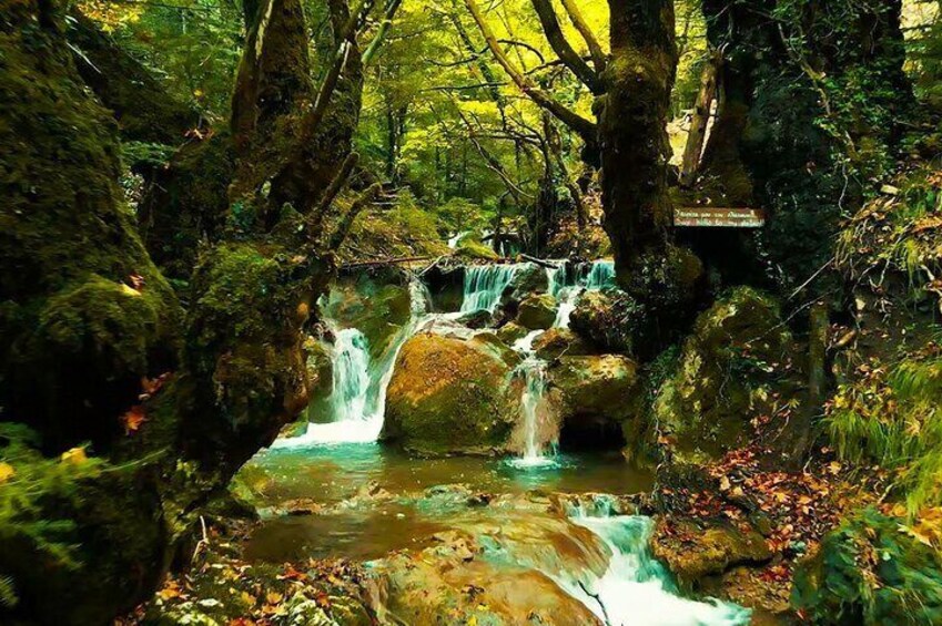 Private Day Tour From Athens of Pavliani Forest Park Trek