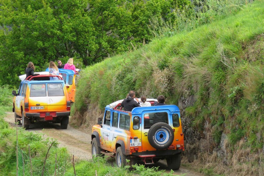 Picture 43 for Activity Madeira : Santana & Peaks full day tour by Open 4x4