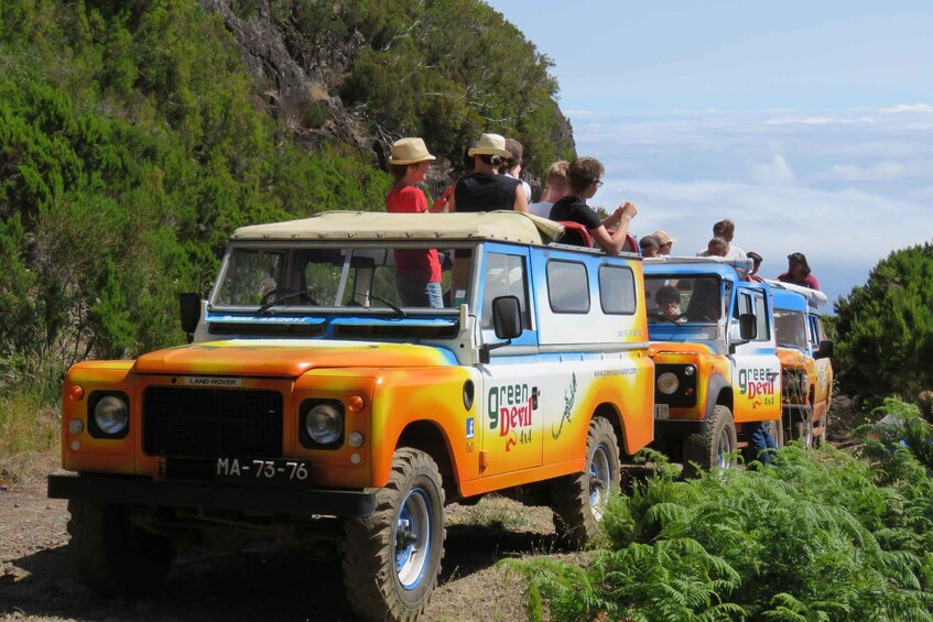 Picture 16 for Activity Madeira : Santana & Peaks full day tour by Open 4x4