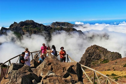 Madeira: Heldagstur med åpen 4x4 til Santana & Peaks