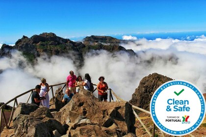 From Funchal: Full-Day Madeira Peaks Tour by Open 4x4