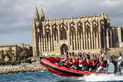 Palma de Mallorca: Sightseeing Speedboat Tour with Pickup