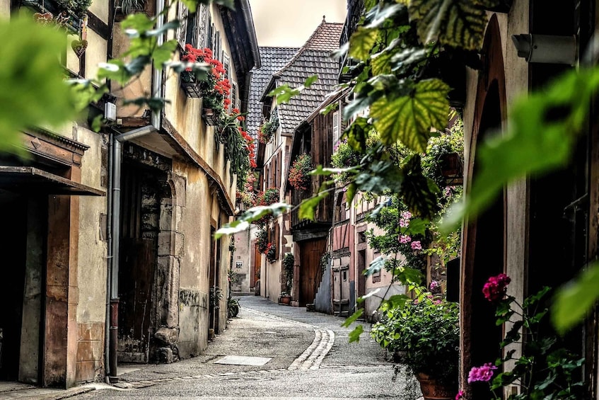 Picture 2 for Activity Colmar: Private Guided Walking Tour of the City Center