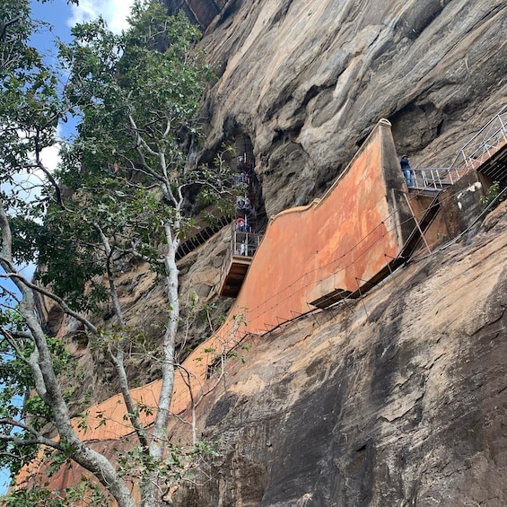 Picture 12 for Activity Colombo: Sigiriya Rock Dambulla and Minneriya National Park