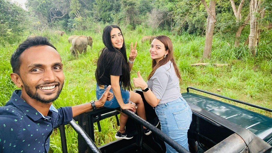Colombo: Sigiriya Rock Dambulla and Minneriya National Park