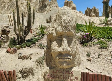 Tour moon valley and rich areas La Paz city