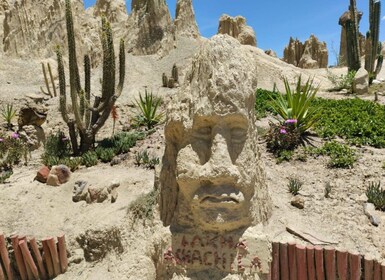 Tour moon valley and rich areas La Paz city