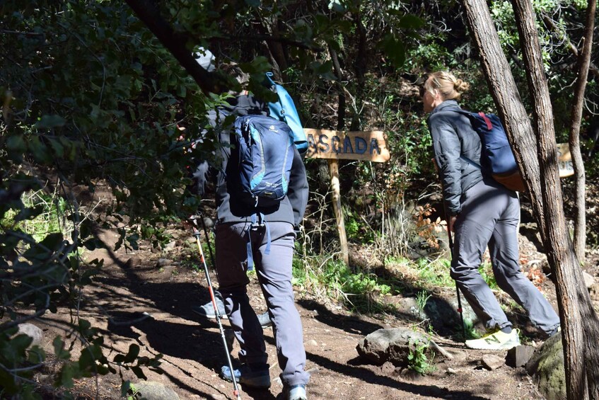 Picture 3 for Activity Trekking and Tasting Experience in Viña Alyan