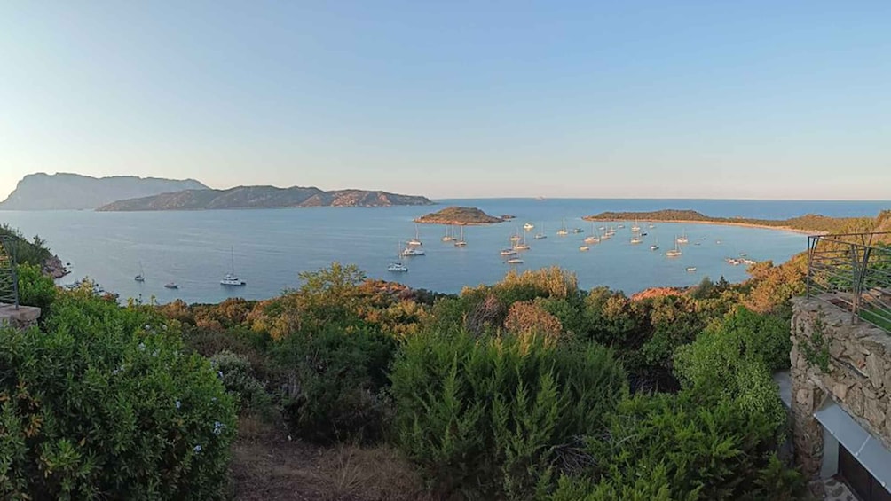 Picture 4 for Activity Tavolara: Mini Tour of Archipelago from San Teodoro
