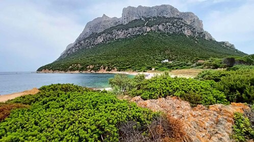 Tavolara: mini recorrido por el archipiélago desde San Teodoro