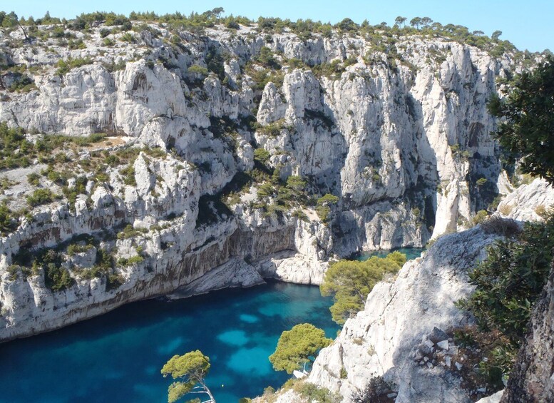 Picture 3 for Activity Calanques de Cassis: Hiking Day Trip