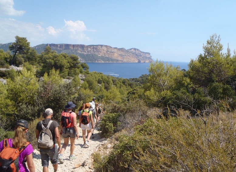 Calanques de Cassis: Hiking Day Trip