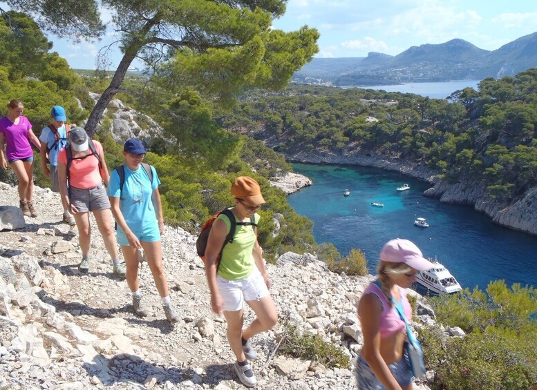 Picture 2 for Activity Calanques de Cassis: Hiking Day Trip