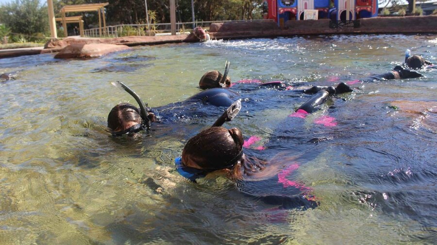 Coastal Currents Snorkel + Entry Pass