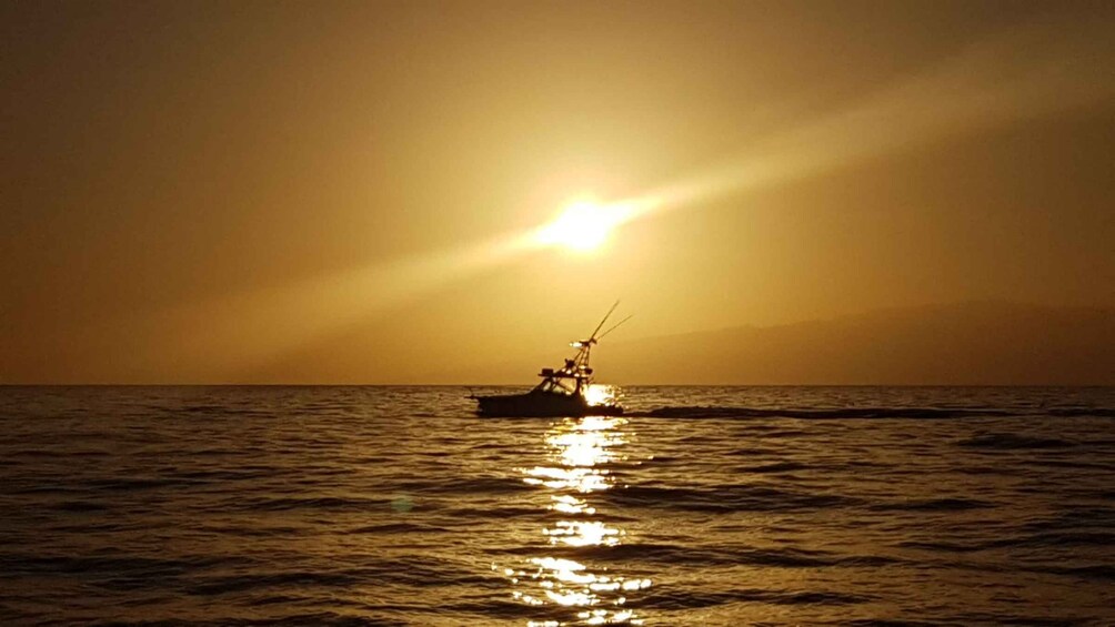 Picture 3 for Activity From Puerto Colón: Private Fishing Boat Charter with Lunch