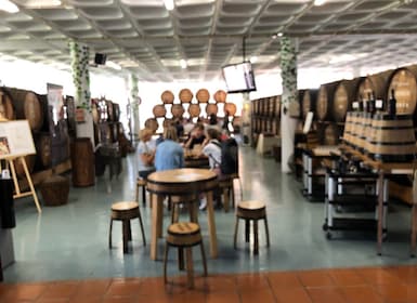 Vanuit Funchal: Jeep Tour met Madeira Wijnproeverij