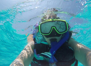 Snorkel the Vibrant Reefs of Khor Fakkan