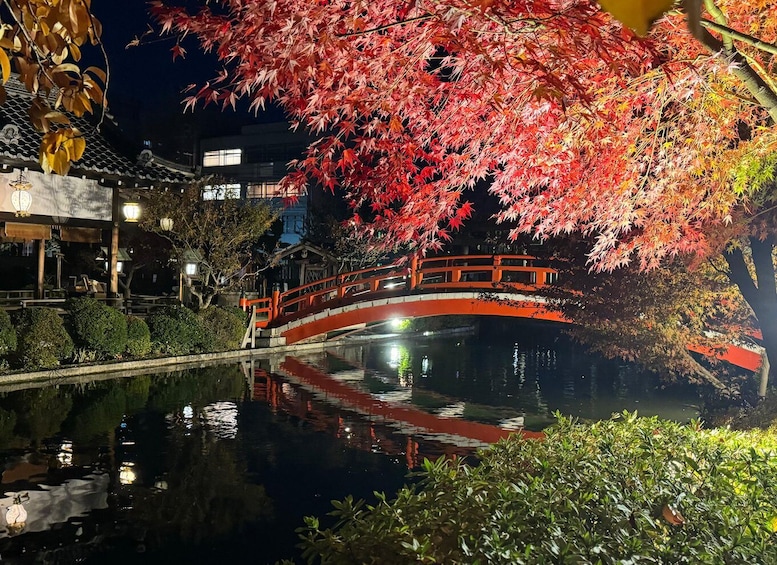 Picture 13 for Activity Kyoto: Fully customizable your own tour in the old capital