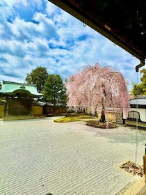 Kyoto: Fully customizable your own tour in the old capital