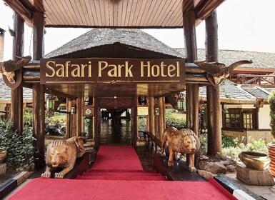 Dinner experience with Cat Show at Safari Park.