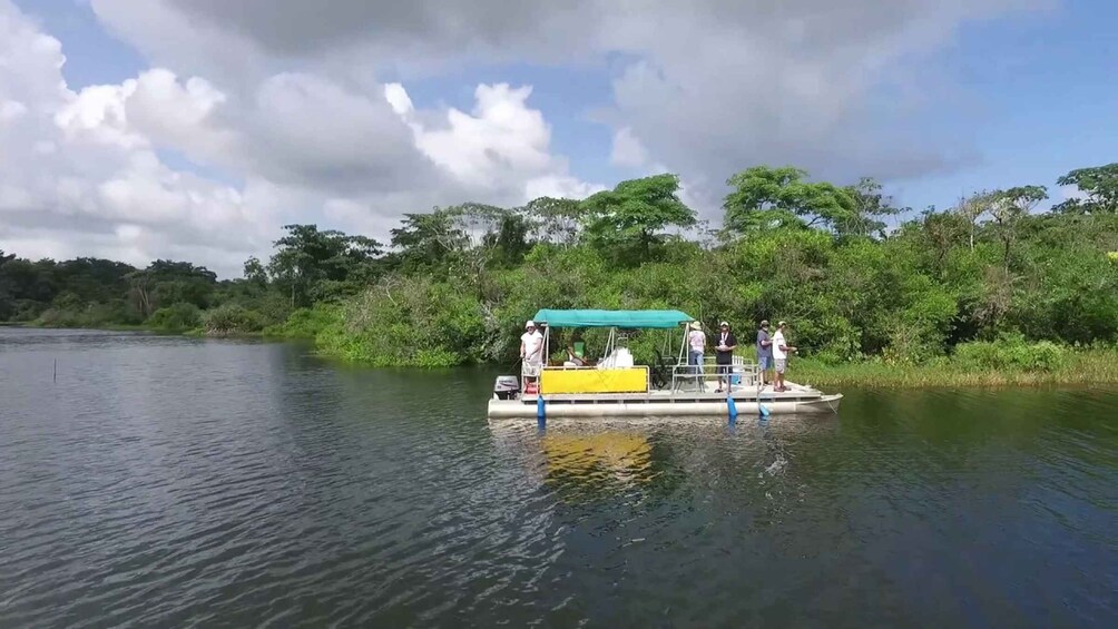 Picture 8 for Activity From Panama City: Monkey Island Boat Tour with Transfer