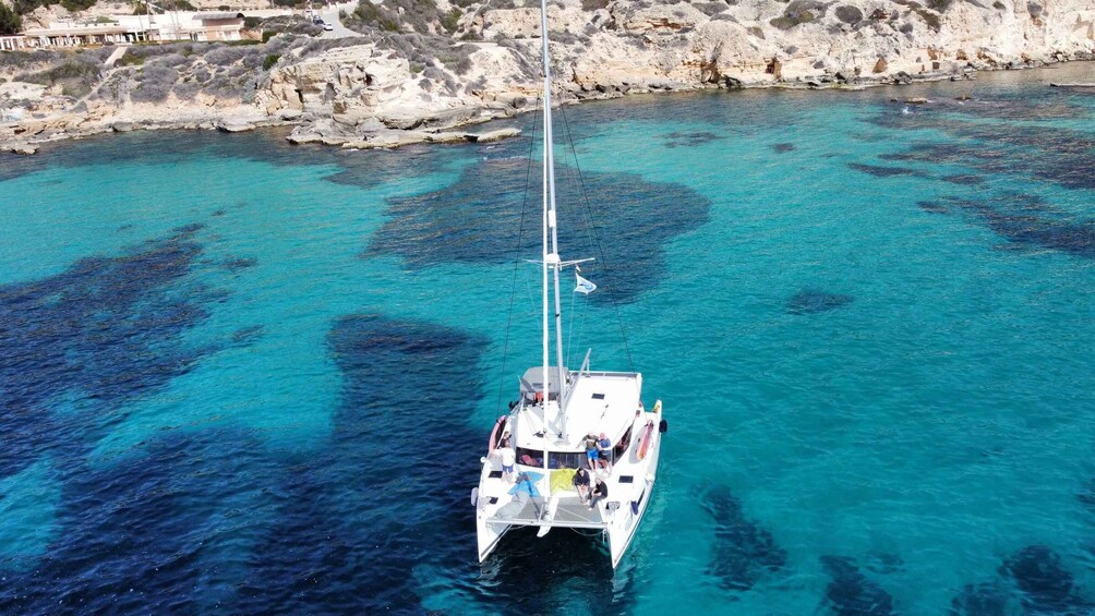 Picture 10 for Activity From Palma: Luxury Catamaran Group Tour with Tapas & Drinks