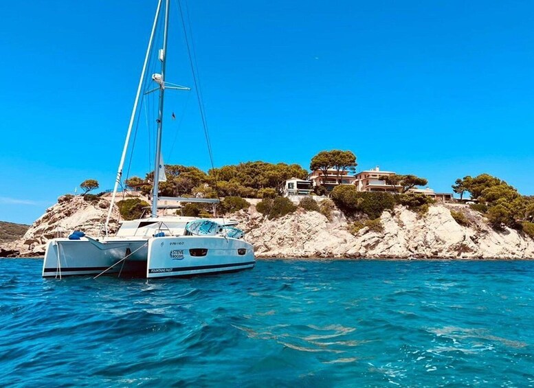 From Palma: Luxury Catamaran Group Tour with Tapas & Drinks