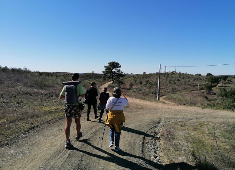 The hike through the Alentejo cork