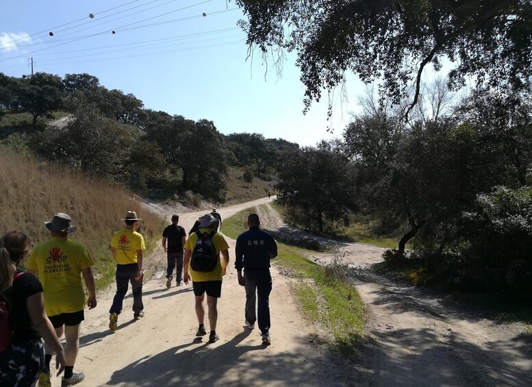 Picture 5 for Activity The hike through the Alentejo cork