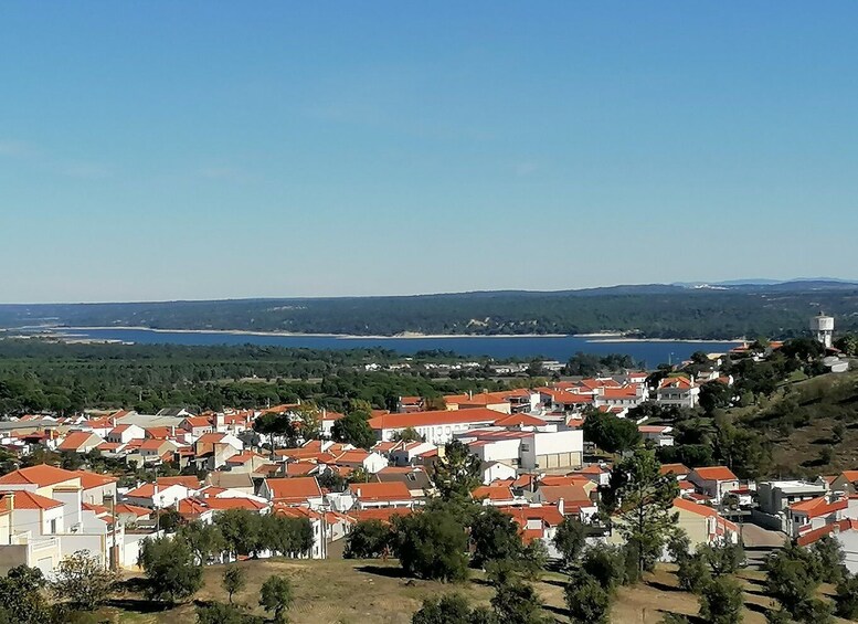 Picture 4 for Activity The hike through the Alentejo cork