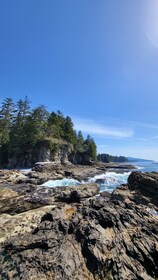 Victoria West Coast Big Tree Coastal Adventure