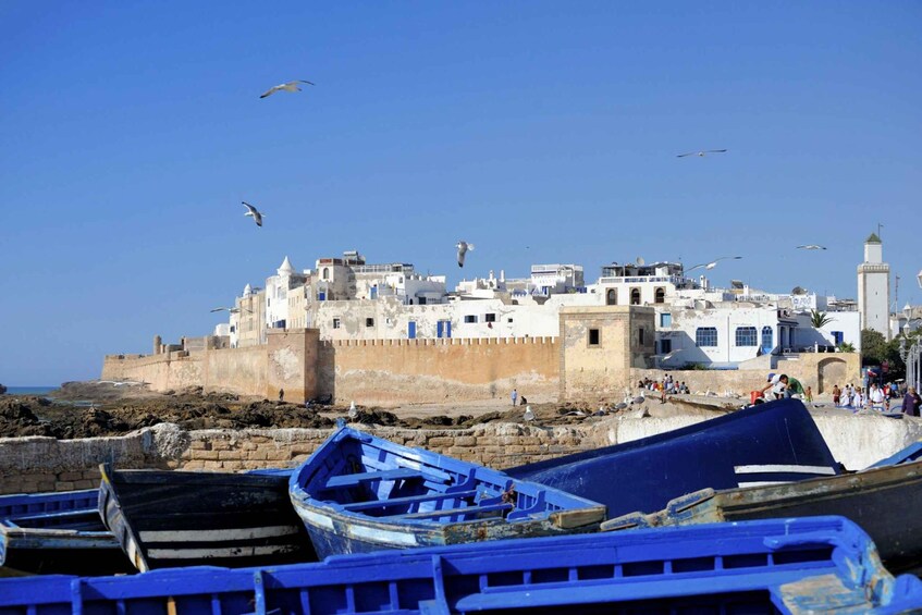 Picture 6 for Activity Agadir To Essaouira Trip Visit the ancient & historical city