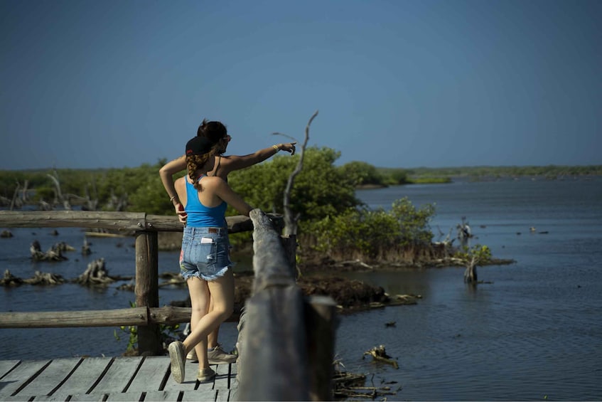 Picture 5 for Activity Cozumel: Off-road Adventure to Punta Sur and Clear Boat Ride