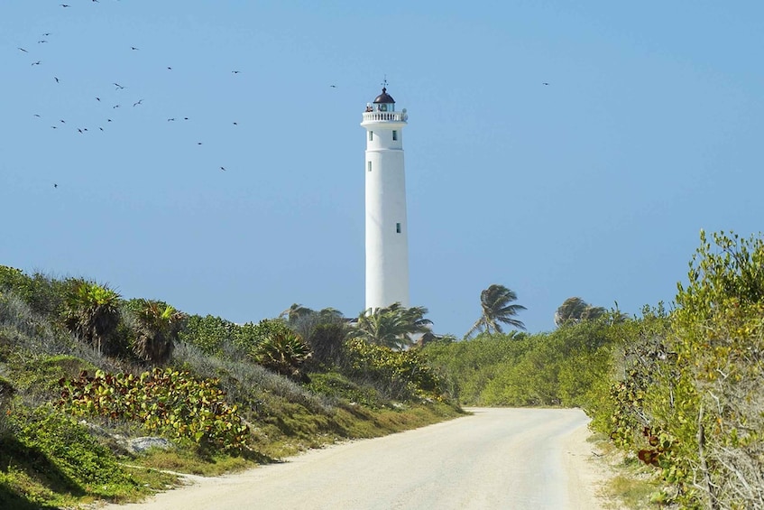 Picture 3 for Activity Cozumel: Off-road Adventure to Punta Sur and Clear Boat Ride