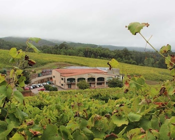 Visit to the Adegas Valmiñor winery and tasting